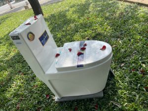 Bồn cầu liền khối T01